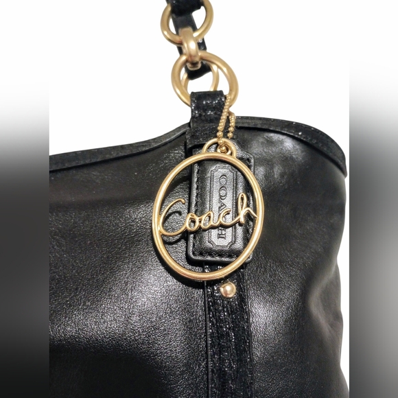 Coach Alexandra Python Chain Shoulder Bag NWOT - Picture 4 of 16